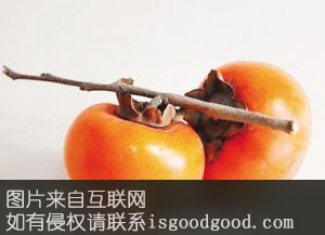 城前柿子特产照片