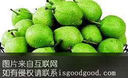 纪庄青梨特产照片