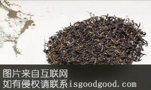 泰山君子茶特产照片