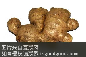 彭集生姜特产照片