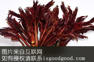 石门香椿特产照片