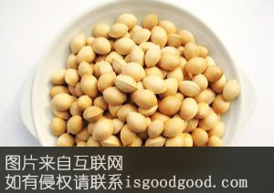 威海银杏特产照片