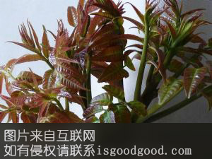 十堰山野菜特产照片