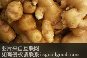 清江生姜特产照片