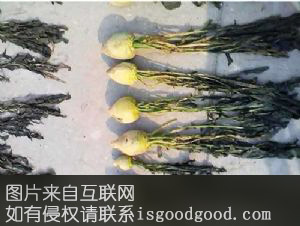南村坊大头菜特产照片