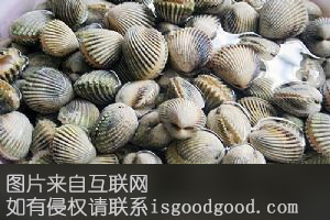 平冈泥蚶特产照片
