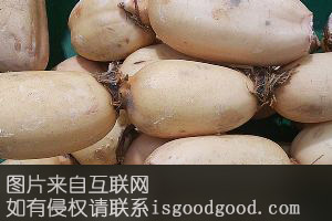 荷村莲藕特产照片