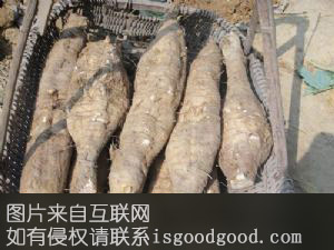 石冲粉葛特产照片