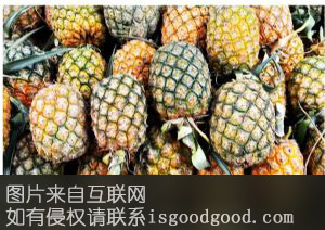 双马菠萝特产照片