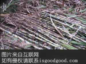 坦洲黑蔗特产照片