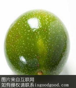 百果香特产照片