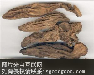金佛山玄参特产照片