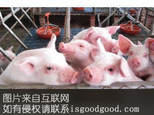 沙窝白猪特产照片