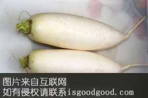 龙山萝卜特产照片