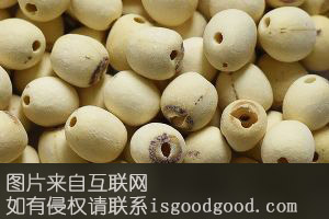 冰糖湘莲特产照片