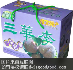 信宜三华李特产照片