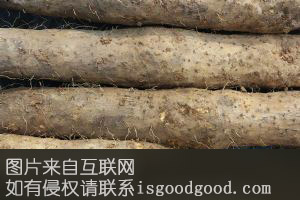 海口云龙淮山特产照片