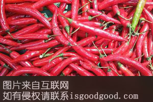 四更小红椒特产照片