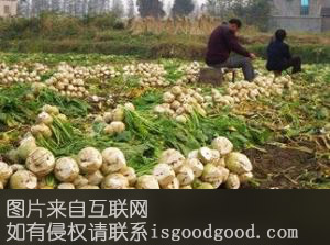 秀山大头菜特产照片