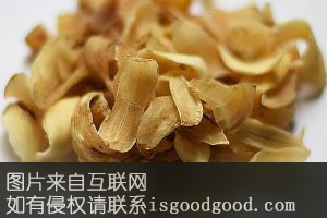 江津百合特产照片