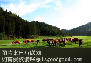 丰都肉牛特产照片