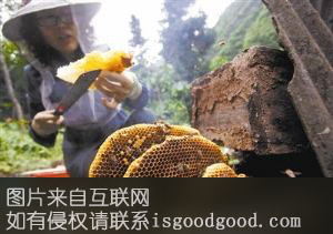 平武中蜂特产照片