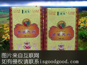 西藏天麻特产照片