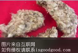 波密雪莲特产照片