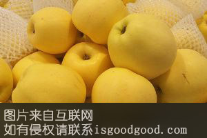 中宁苹果特产照片