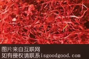 新疆红花特产照片