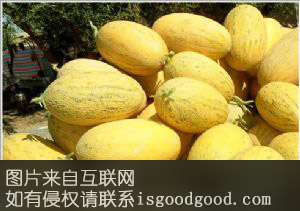 黄密宝特产照片