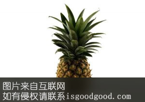 屏东凤梨特产照片