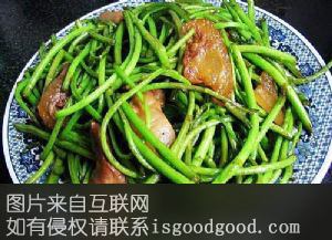 鄱阳湖藜蒿特产照片