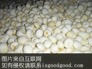 襄半夏特产照片