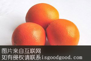 淝阳牌红江橙特产照片