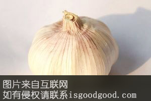 全州紫皮大蒜特产照片