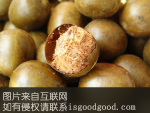 百色罗汉果特产照片