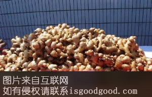 靖西大肉姜特产照片