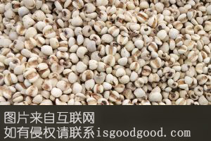 隆林薏米特产照片