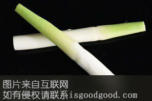 修仁横水茭白特产照片