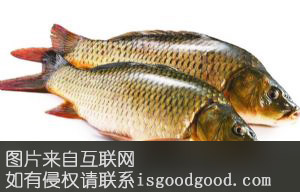 禾花乌鲤鱼特产照片