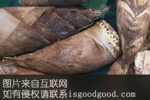 小忠龙藏冬笋特产照片