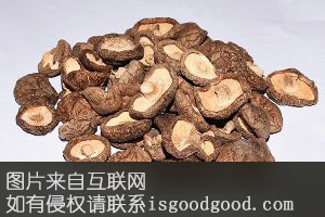 景宁香菇特产照片