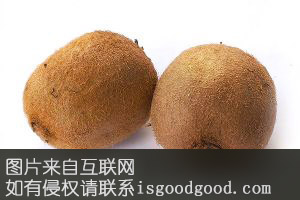 乐昌弥猴桃特产照片