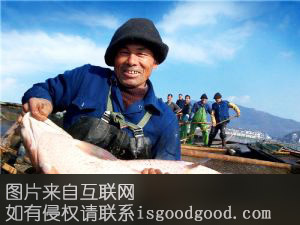 康家湖鳙鱼头特产照片
