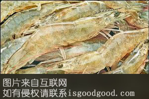 萧山白对虾特产照片