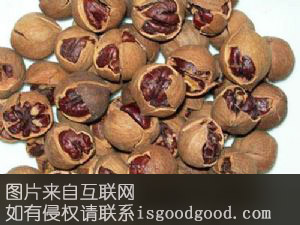 杭州山核桃特产照片
