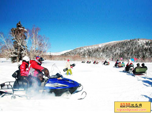 长白山国际天然滑雪公园景点照片