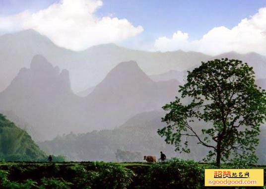 琴高山景点照片