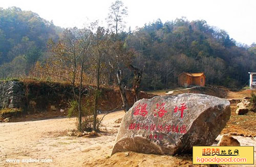 鹞落坪国家级自然保护区景点照片